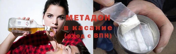 стаф Алзамай