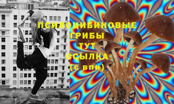 меф Алексин