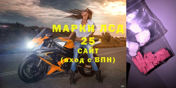 стаф Алзамай