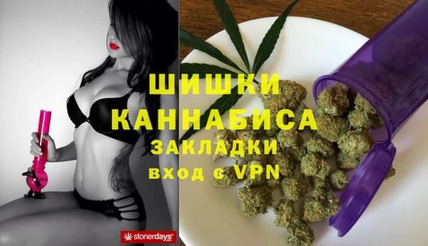 стаф Алзамай