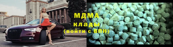 стаф Алзамай