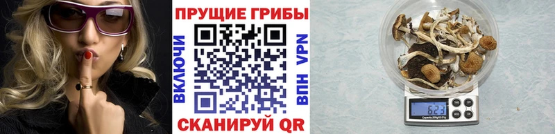 Галлюциногенные грибы MAGIC MUSHROOMS  Ишим 